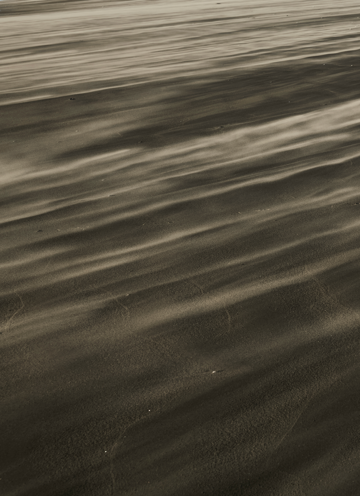 A Primal Pulse Beneath the Undulating Earth