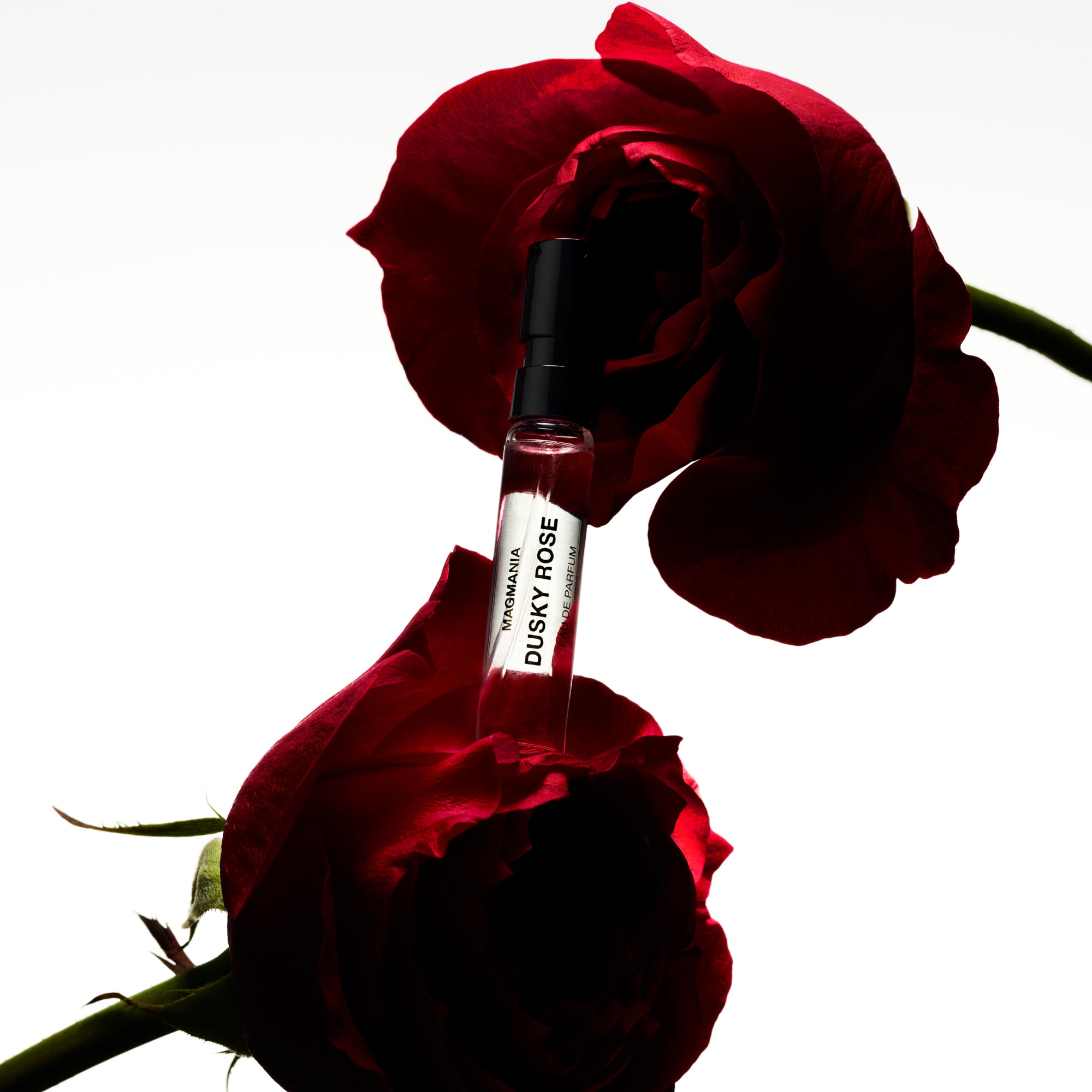 DUSKY ROSE 2mL