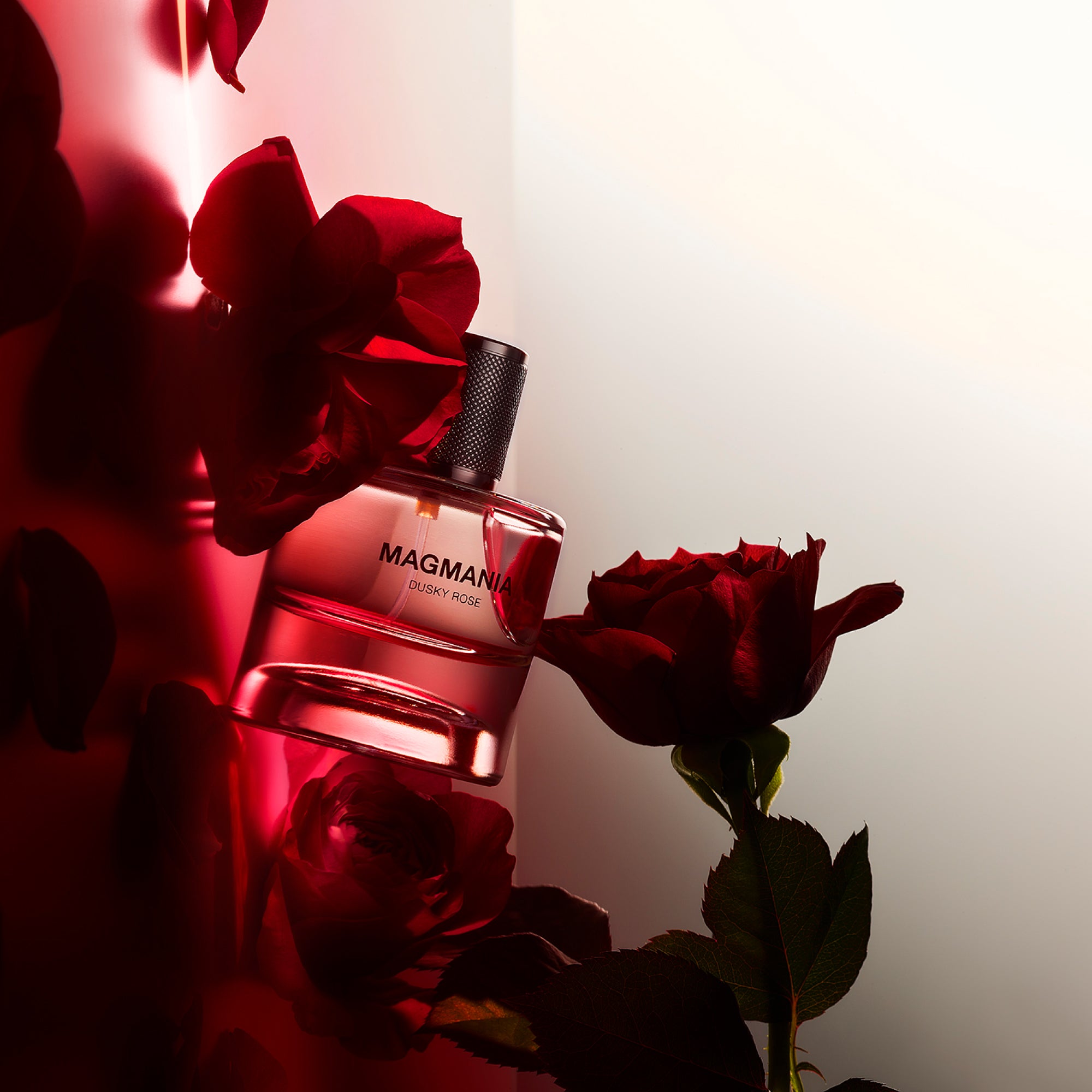 DUSKY ROSE 50mL