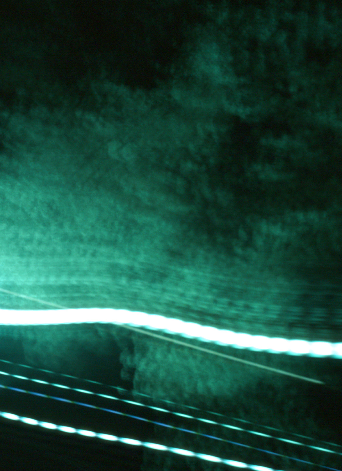 神秘の緑に包まれた、檜の記憶