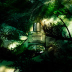 VEILED HINOKI 50mL