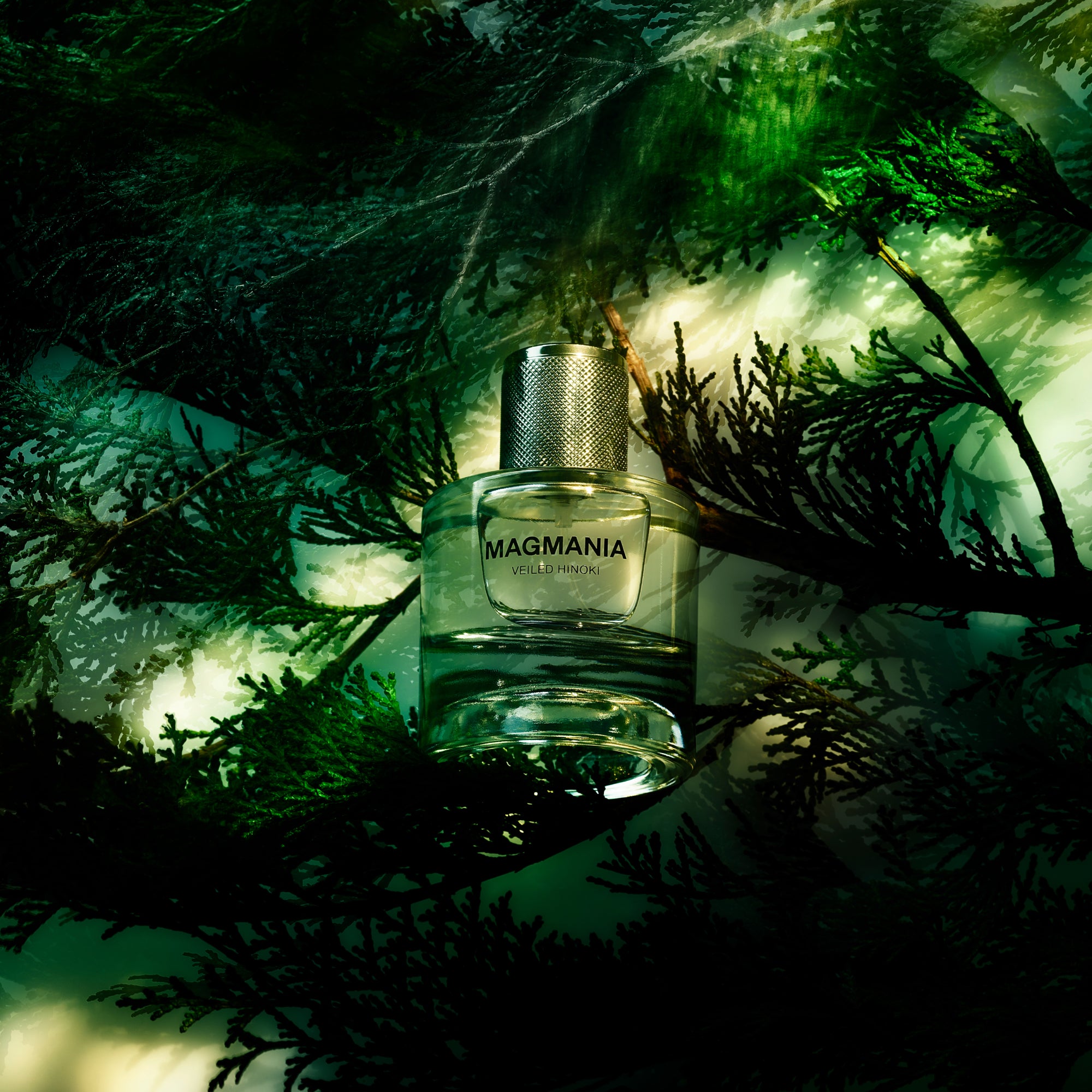 VEILED HINOKI 50mL